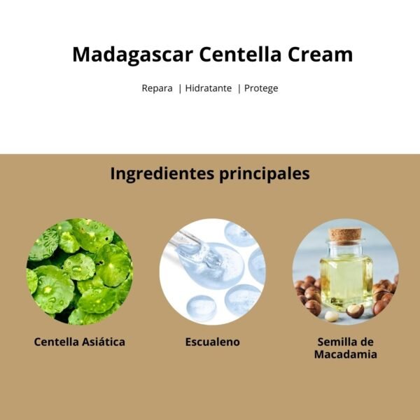 SKIN1004 Crema “Madagascar Centella Cream” - Imagen 6