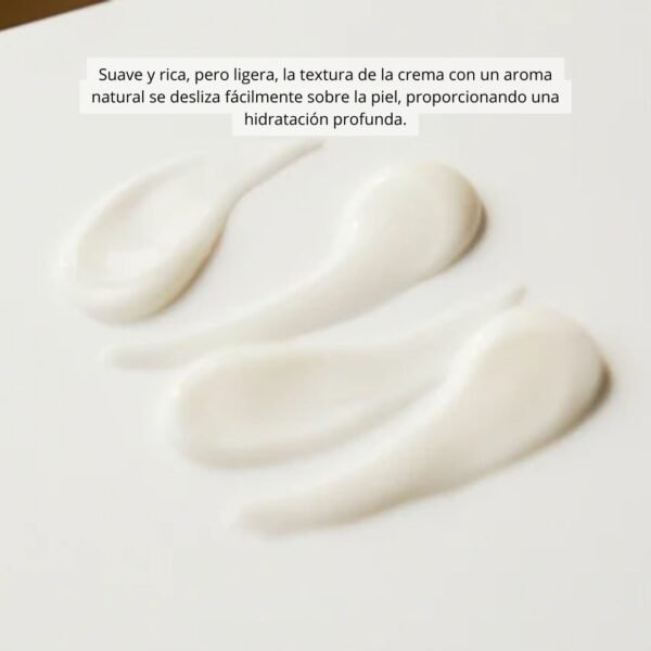 SKIN1004 Crema “Madagascar Centella Cream” - Imagen 3