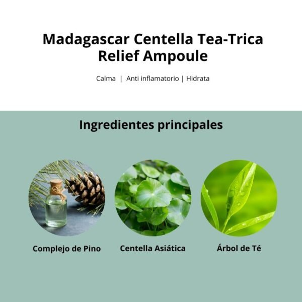 SKIN1004 Skin1004 Ampolla “Madagascar Centella Tea-Trica Relief Ampoule” - Imagen 6