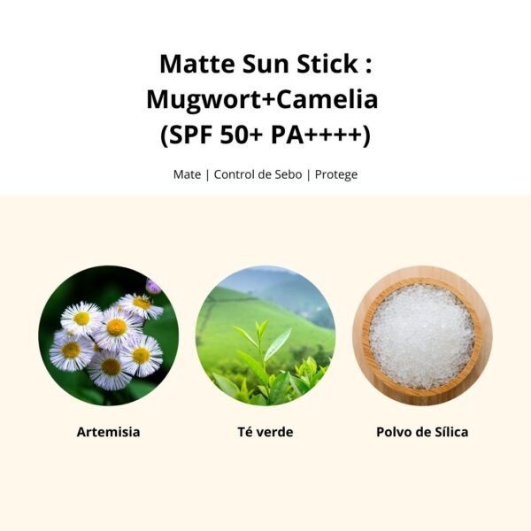 Beauty Of Joseon Beauty of Joseon Protector Solar “Matte Sun Stick_Mugwort + Camelia” 18g - Imagen 7
