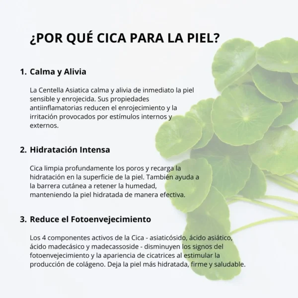 Mixsoon Esencia “Soondy Centella Asiatica Essence” 100ml - Imagen 9