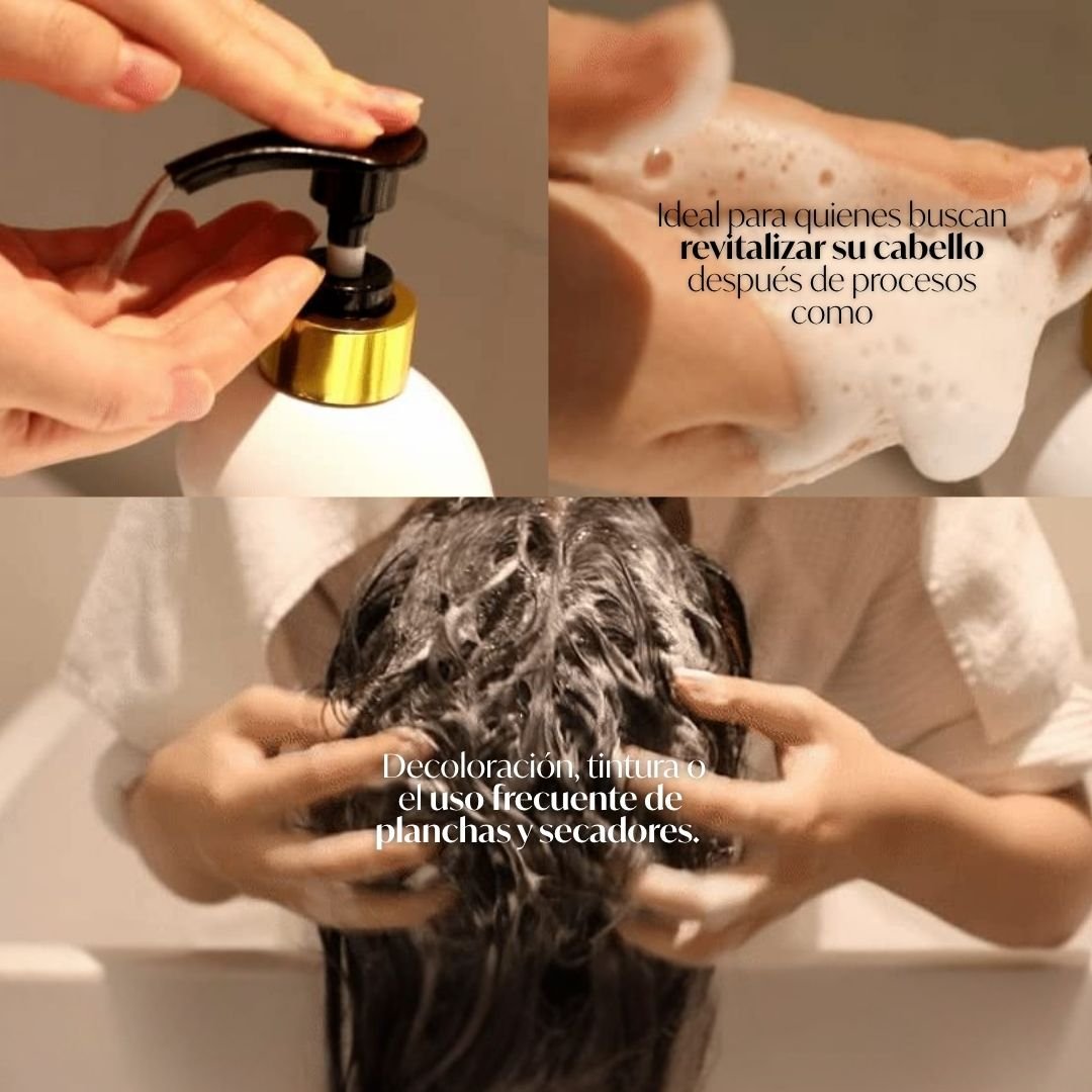 Elizavecca » CER-100 Collagen Coating Hair A+ Muscle Shampoo « - Imagen 5